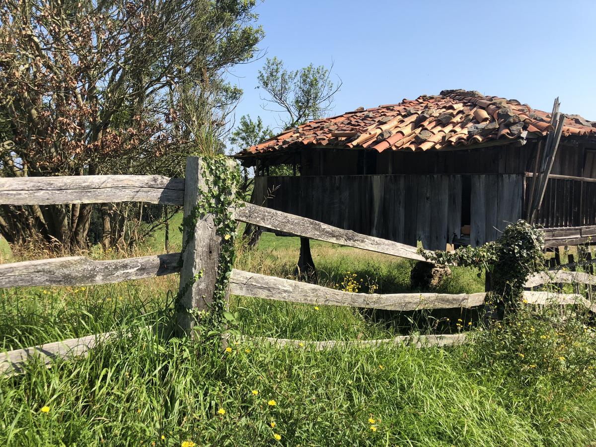La Tejera Hotel Soto del Barco Kültér fotó